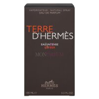 Hermes Terre DHermes Eau Intense Vetiver Eau de Parfum 100ml