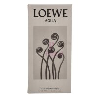 Loewe Agua Eau de Toilette 75ml