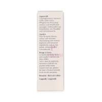 Dr. Hauschka Lipstick 4,1g
