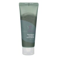 Isntree Mugwort Calming Clay Mask 100ml