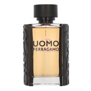 S. Ferragamo Uomo Pour Homme Edt Spray 100ml