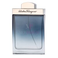 S. Ferragamo Subtil Pour Homme Eau de Toilette 100ml