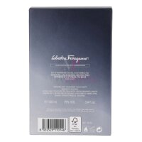 S. Ferragamo Subtil Pour Homme Eau de Toilette 100ml