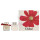 Chloe Signature Intense Geschenkset LEau De Parfum Intense Eau de Parfum Intense 50ml/Body Lotion 100ml