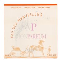 Hermes Des Merveilles Eau de Toilette 100ml