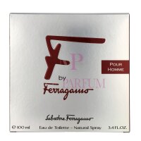 S. Ferragamo F Pour Homme Eau de Toilette 100ml