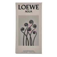Loewe Agua Eau de Toilette 100ml