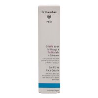 Dr. Hauschka Med Ice Plant Face Cream 40ml