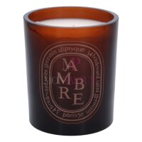 Diptyque Ambre Scented Candle 300g
