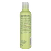 Aveda Be Curly Shampoo 250ml