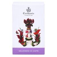 Carthusia Gelsomini Di Capri Eau de Parfum 100ml