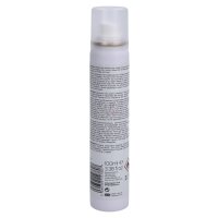 Philip Kingsley One More Day Dry Shampoo 100ml