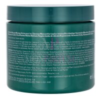 Aveda Botanical Repair Intensive Strengthening Mask -...